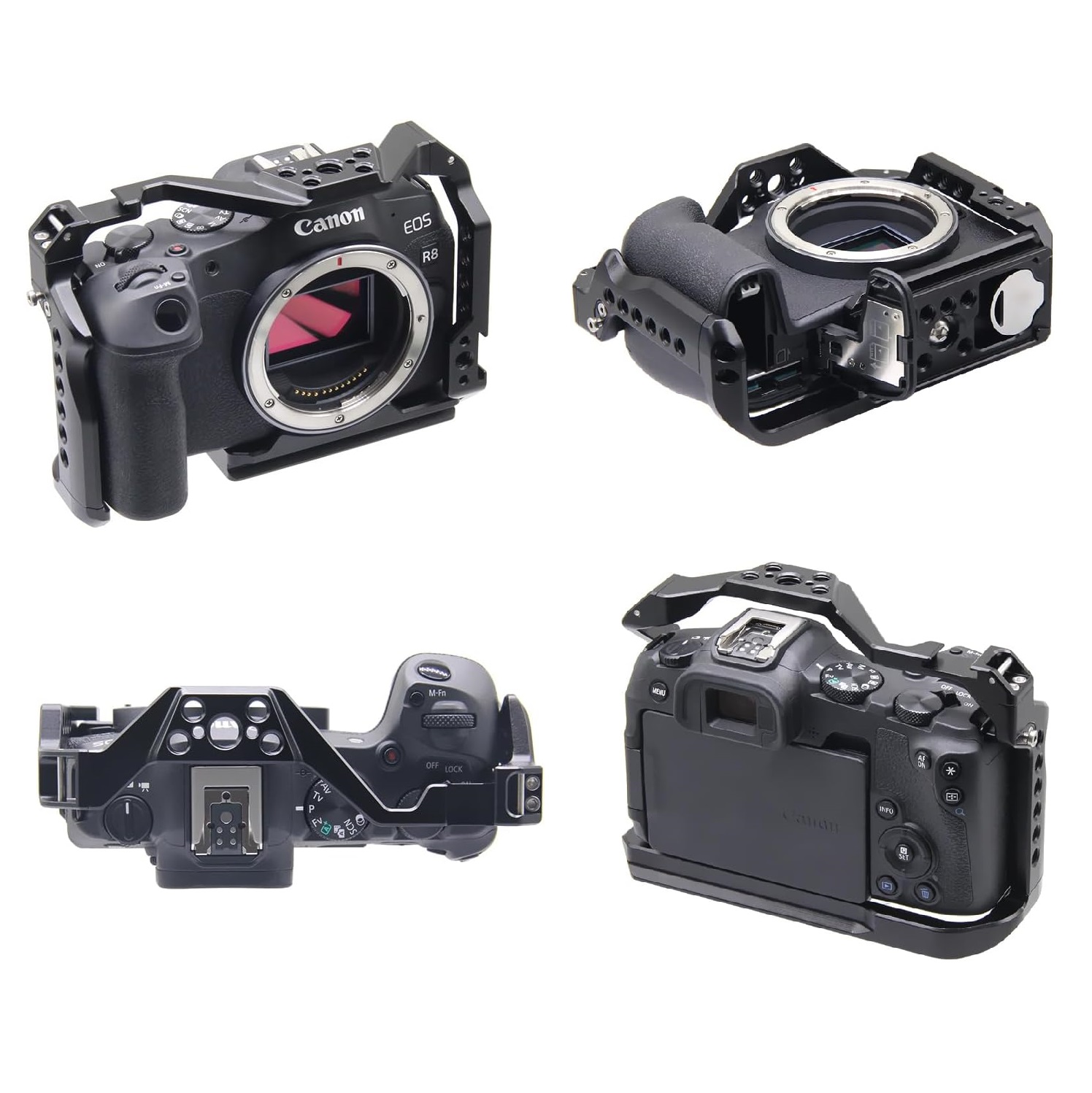 Jaula de cámara con marco prot - Canon Camera Eos R8 reseña y precio